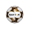 Phantom I